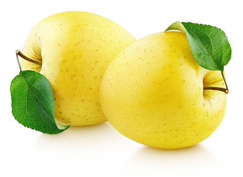 https://shp.aradbranding.com/قیمت سیب زرد ممتاز + خرید باور نکردنی